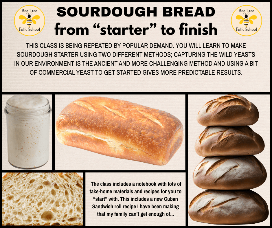 SOURDOUGH-from “starter” to finish