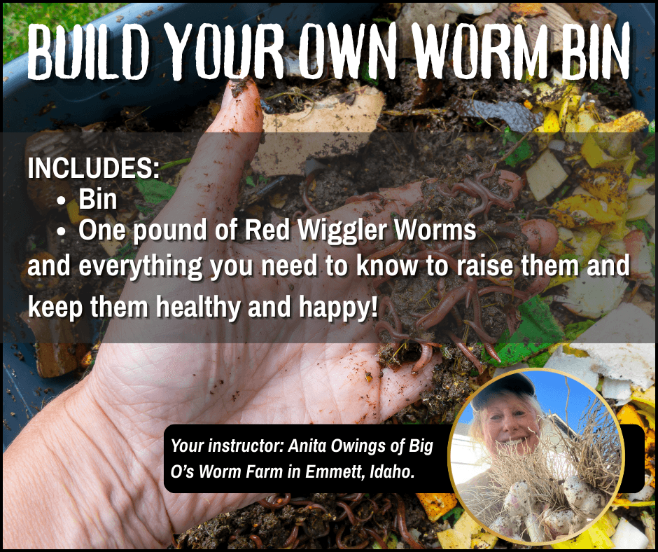 BUILD YOUR OWN WORM BIN
