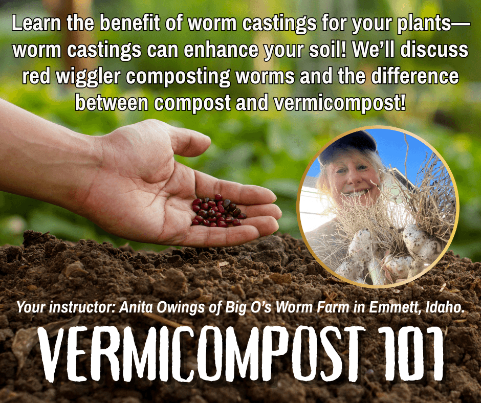 Vermicompost 101 and the Benefit of Worms